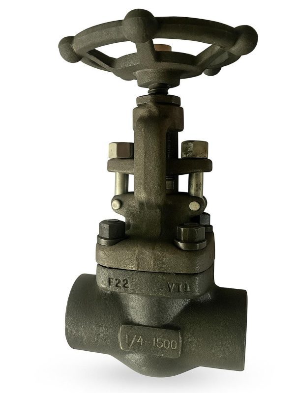 F22 Gate Valve